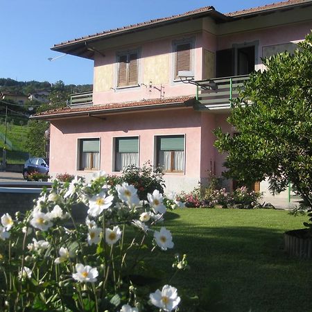 B&B Garden Solto Collina ภายนอก รูปภาพ