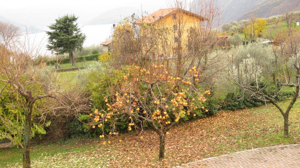 B&B Garden Solto Collina ภายนอก รูปภาพ
