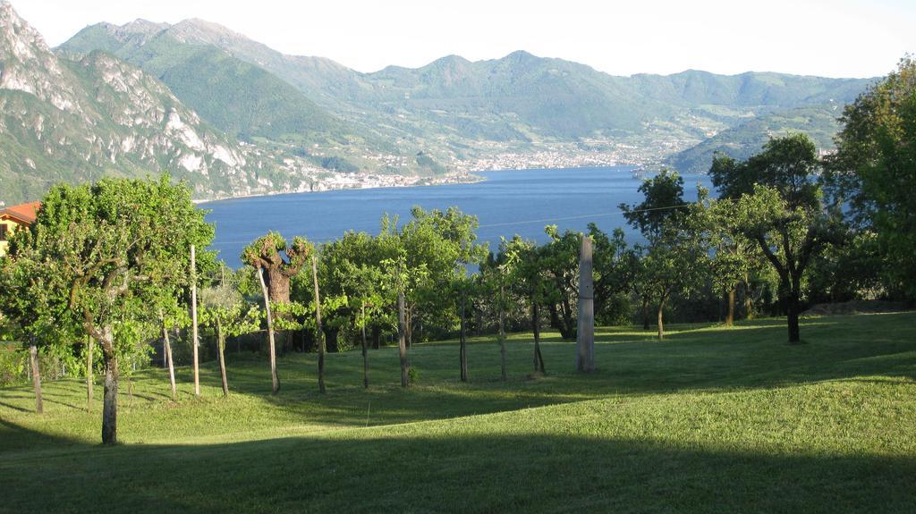 B&B Garden Solto Collina ภายนอก รูปภาพ